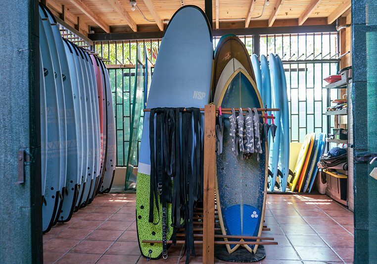 surf-bodega-landscape